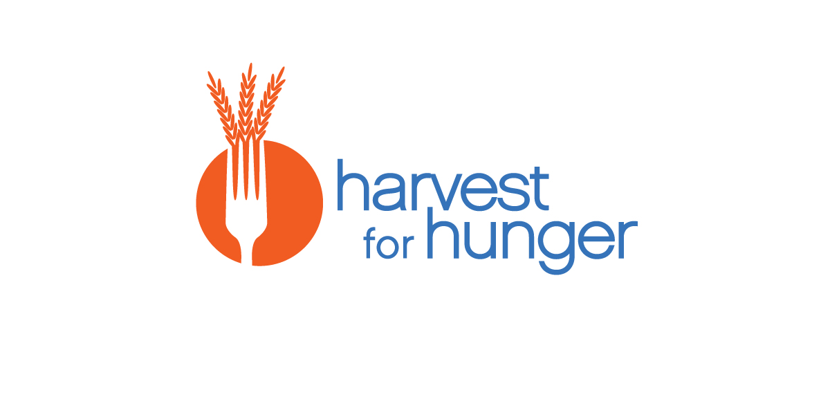 Harvest for Hunger Identity Process Matt Kandarian Graphic Designer